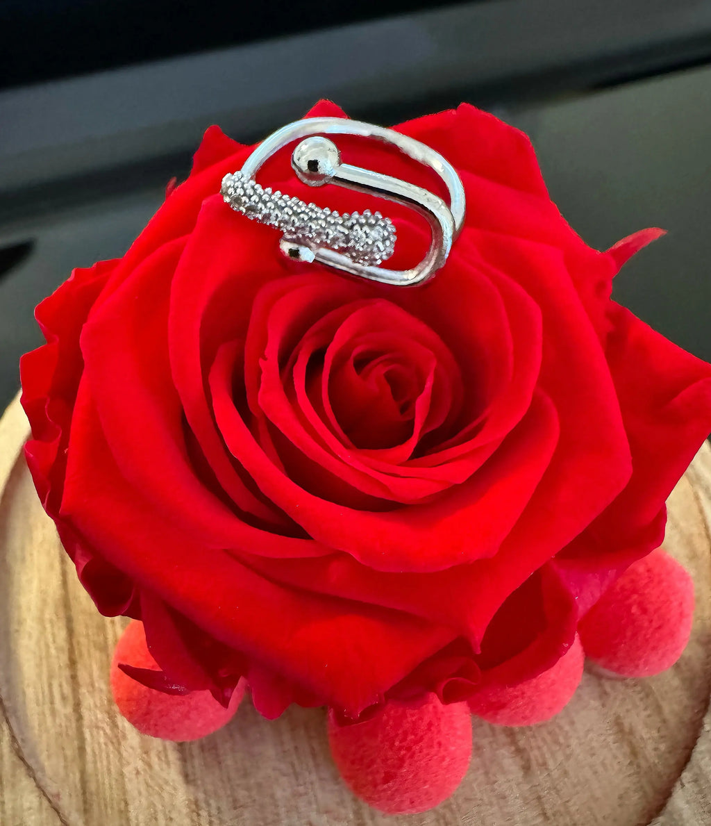Bague strasse réglable, couleur argent - ARMINE'S STYLE HUB